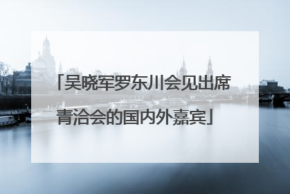 吴晓军罗东川会见出席青洽会的国内外嘉宾