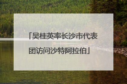 吴桂英率长沙市代表团访问沙特阿拉伯