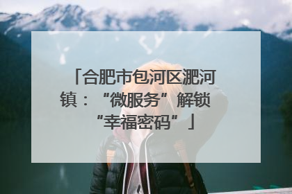合肥市包河区淝河镇：“微服务”解锁“幸福密码”
