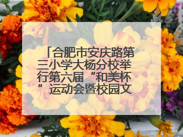 合肥市安庆路第三小学大杨分校举行第六届“和美杯”运动会暨校园文化艺术节