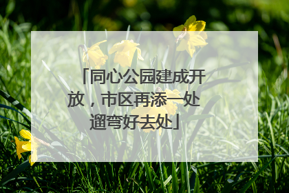 同心公园建成开放，市区再添一处遛弯好去处