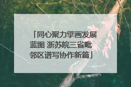 同心聚力擘画发展蓝图 浙苏皖三省毗邻区谱写协作新篇