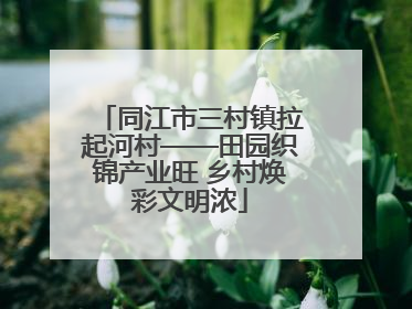 同江市三村镇拉起河村——田园织锦产业旺 乡村焕彩文明浓