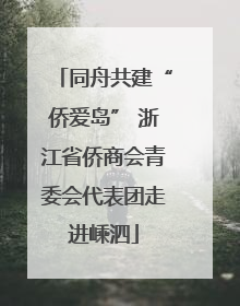 同舟共建“侨爱岛” 浙江省侨商会青委会代表团走进嵊泗