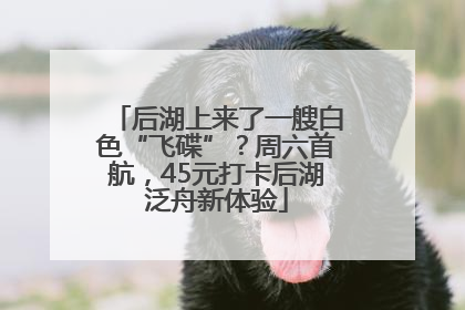 后湖上来了一艘白色“飞碟”？周六首航，45元打卡后湖泛舟新体验