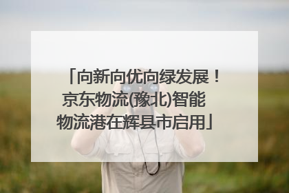 向新向优向绿发展！京东物流(豫北)智能物流港在辉县市启用