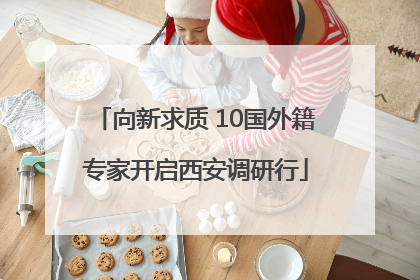 向新求质 10国外籍专家开启西安调研行