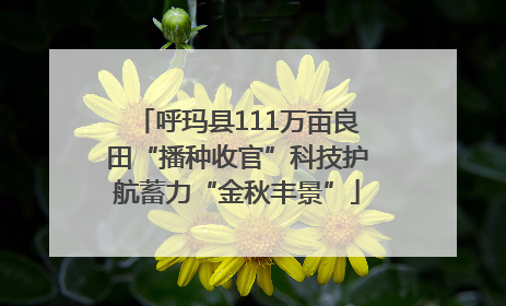 呼玛县111万亩良田“播种收官”科技护航蓄力“金秋丰景”