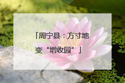 周宁县：方寸地变“增收园”