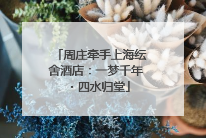 周庄牵手上海纭舍酒店：一梦千年・四水归堂