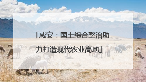 咸安：国土综合整治助力打造现代农业高地