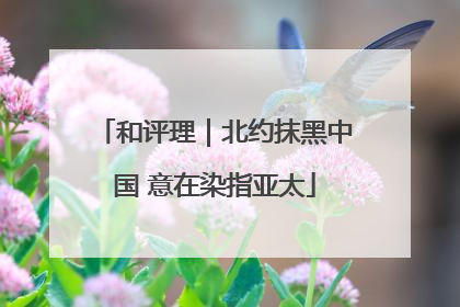 和评理｜北约抹黑中国 意在染指亚太
