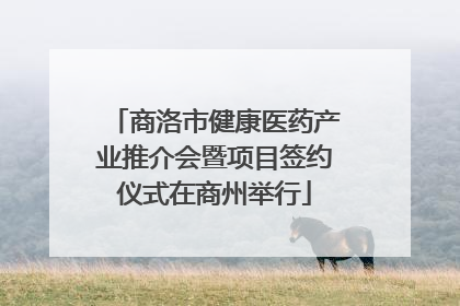 商洛市健康医药产业推介会暨项目签约仪式在商州举行