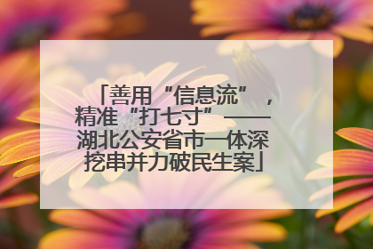 善用“信息流”，精准“打七寸”——湖北公安省市一体深挖串并力破民生案