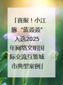 喜报！小江豚“蓝叒叒”入选2025年网络文明国际交流互鉴城市典型案例