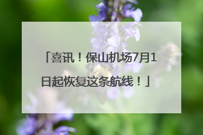 喜讯！保山机场7月1日起恢复这条航线！