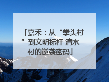 嘉禾：从“拳头村”到文明标杆 清水村的逆袭密码