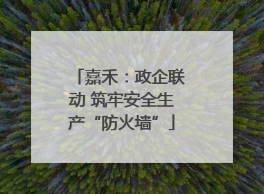 嘉禾：政企联动 筑牢安全生产“防火墙”