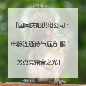 国网庆阳供电公司：电脉连通诗与远方 服务点亮露营之光