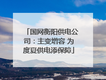 国网衡阳供电公司：主变增容 为度夏供电添保障