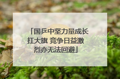国乒中坚力量成长扛大旗 竞争日益激烈亦无法回避