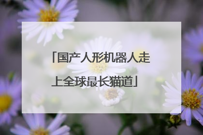 国产人形机器人走上全球最长猫道