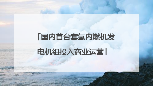 国内首台套氢内燃机发电机组投入商业运营