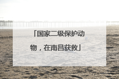 国家二级保护动物，在南昌获救