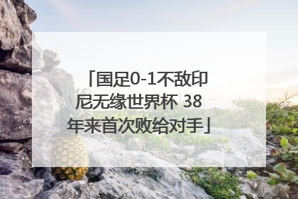 国足0-1不敌印尼无缘世界杯 38年来首次败给对手
