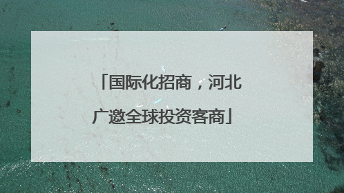 国际化招商，河北广邀全球投资客商