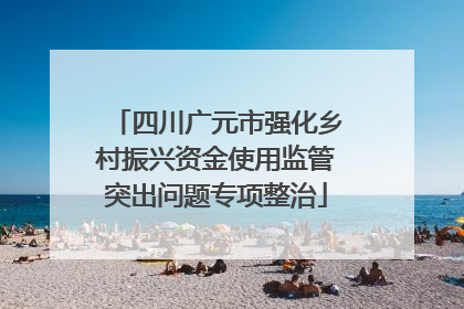 四川广元市强化乡村振兴资金使用监管突出问题专项整治