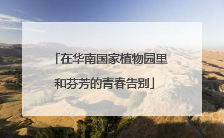 在华南国家植物园里和芬芳的青春告别
