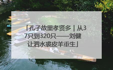 孔子故里孝贤多｜从37只到320只——刘健让泗水裘皮羊重生
