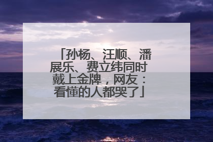 孙杨、汪顺、潘展乐、费立纬同时戴上金牌，网友：看懂的人都哭了