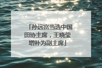 孙远富当选中国田协主席，王晓莹增补为副主席