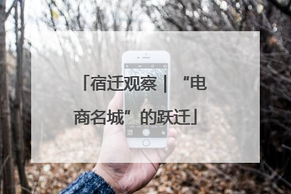宿迁观察｜“电商名城”的跃迁