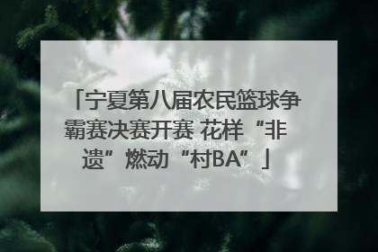 宁夏第八届农民篮球争霸赛决赛开赛 花样“非遗”燃动“村BA”