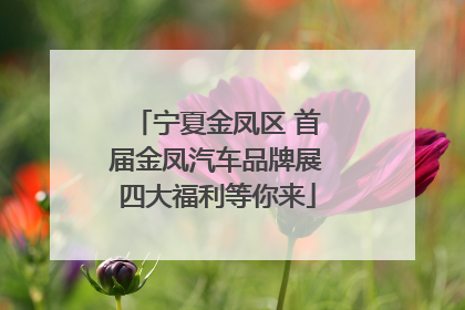 宁夏金凤区 首届金凤汽车品牌展四大福利等你来