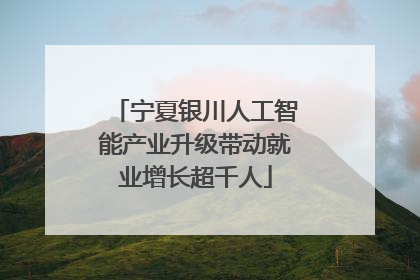 宁夏银川人工智能产业升级带动就业增长超千人