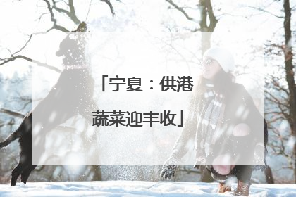 宁夏：供港蔬菜迎丰收