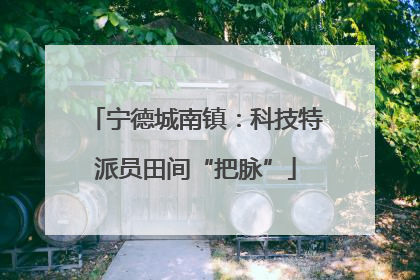 宁德城南镇：科技特派员田间“把脉”