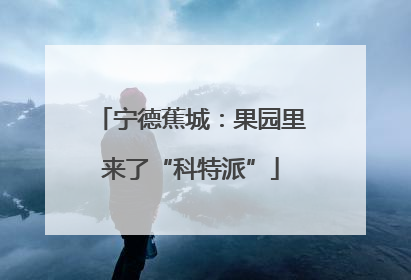 宁德蕉城：果园里来了“科特派”