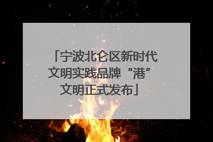宁波北仑区新时代文明实践品牌“港”文明正式发布