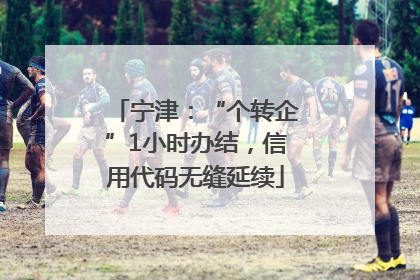 宁津：“个转企”1小时办结，信用代码无缝延续