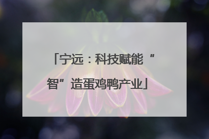 宁远：科技赋能“智”造蛋鸡鸭产业