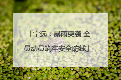 宁远：暴雨突袭 全员动员筑牢安全防线