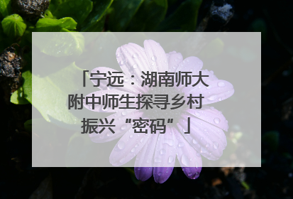 宁远：湖南师大附中师生探寻乡村振兴“密码”
