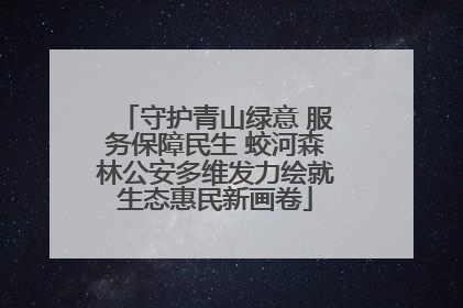 守护青山绿意 服务保障民生 蛟河森林公安多维发力绘就生态惠民新画卷
