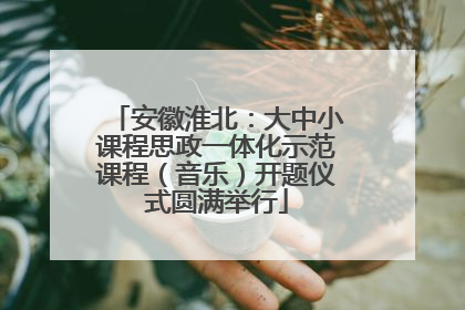 安徽淮北：大中小课程思政一体化示范课程（音乐）开题仪式圆满举行