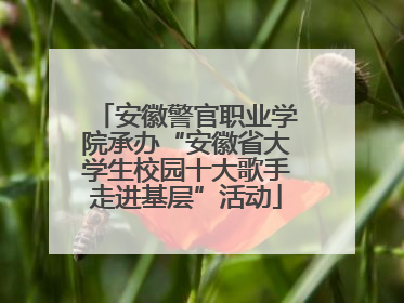 安徽警官职业学院承办“安徽省大学生校园十大歌手走进基层”活动